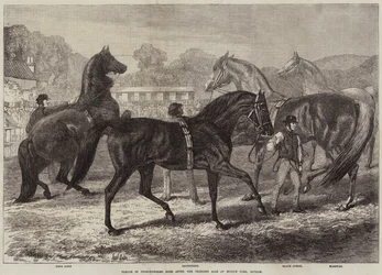 Parade of Thoroughbred Sires After the Yearling Sale at Middle Park, Eltham